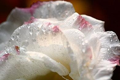 《堡垒之夜》推出寻找队友社交标签工具测试